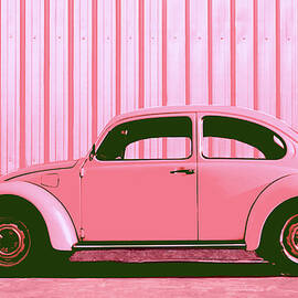 Beetle Pop Pink by Laura Fasulo