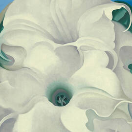 Bella Donna - abstract modernist flower painting by Georgia O'Keeffe by Georgia O'Keeffe
