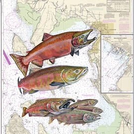 Bellingham Bay Sockeye by Mark Ray