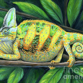 Beman the Veiled Chameleon by Rebecca Wang