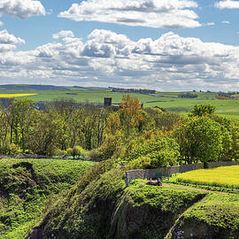 Berwickshire Countryside by Shirley Mitchell
