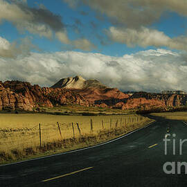 Between Field and Firestone by Dodie Ross