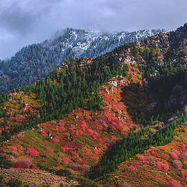 Between Seasons - Wasatch Mountains #3 by Abbie Matthews