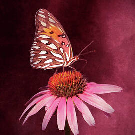 BF Gulf Fritillary 6A by Sally Fuller