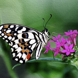 BF Lime ST 2B by Sally Fuller