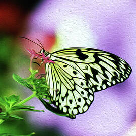 BF Rice Paper 2B by Sally Fuller