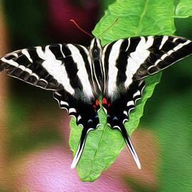 BF Zebra ST 1B by Sally Fuller