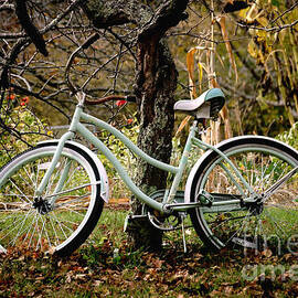 Bicycle and Tree by Olivier Le Queinec