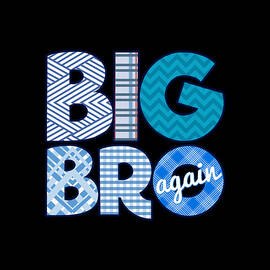 Big Bro Brother Again by Flippin Sweet Gear