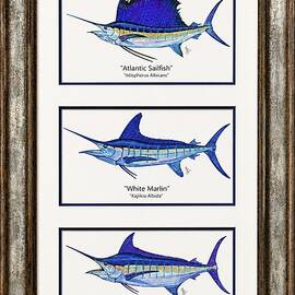 Billfish Slam by Mark Ray