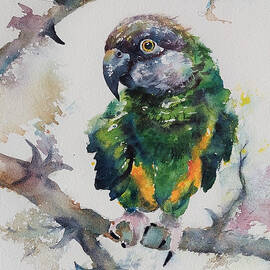 Binkie Bird by Amanda Amend