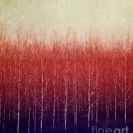 Minimalist Abstract Nature. Modern boho style botanical landscape. by Jelena Jovanovic