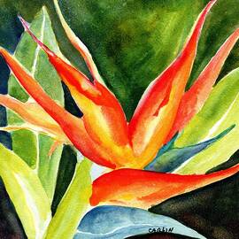 Bird of Paradise  by Carlin Blahnik CarlinArtWatercolor