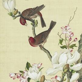 Birds, flowering crab apple and white magnolia blossom - Chinese flower paintings by Giuseppe Castiglione Lang Shining