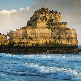 Birds Golden Hour Vigil by Rebecca Herranen