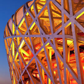  Bird's Nest Stadium, Beijing, China by Neale And Judith Clark