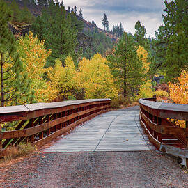 Bizz Bridge Autumn by Mike Lee