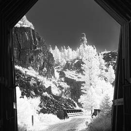 Bizz Tunnel View Infrared by Mike Lee