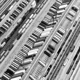 Black California - Ear of Trucks by Philippe HUGONNARD