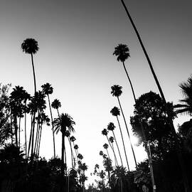 Black California Series - Beverly Hills Nighfall by Philippe HUGONNARD