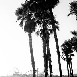 Black California Series - Santa Monica Beach by Philippe HUGONNARD
