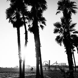 Black California Series - Santa Monica Sunset by Philippe HUGONNARD