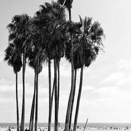 Black California Series - Venice Beach Alley by Philippe HUGONNARD