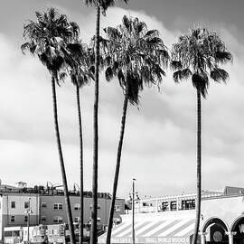 Black California - Venice Beach Boardwalk by Philippe HUGONNARD