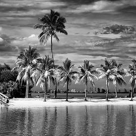 Black Florida Series - Coconuts Beach Miami by Philippe HUGONNARD