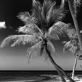 Black Florida Series - Key West Beach by Philippe HUGONNARD