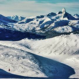 Black Tusk  by Bruce Block