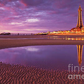 Blackpool Tower and beach at sunset, Lancashire, England by Neale And Judith Clark