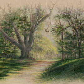 Blakely Park Alabama by Terry Edeker