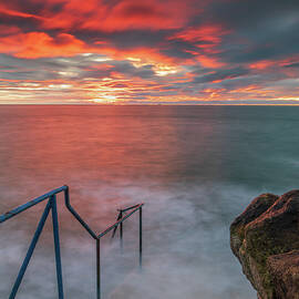 'Blast of Colour' - Hawk Cliff, Killiney, Co Dublin by Adrian Hendroff