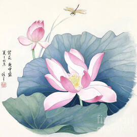 Blossoms of China - Lotus by Ren Yu