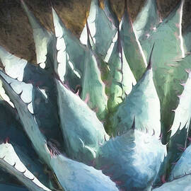 Blue Agave Abstract by Rebecca Herranen
