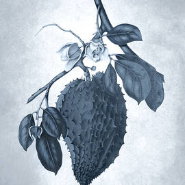 Blue and white plants - Graviola, soursop tree by Madame Berthe Hoola van Nooten