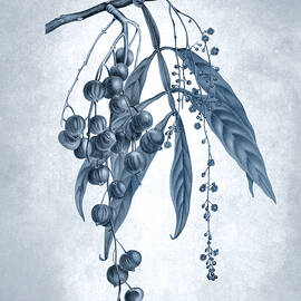 Blue and white plants - Johora tree, blimbing cina by Madame Berthe Hoola van Nooten