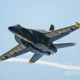 Blue Angel Solo Close Up by Jeff Saunders