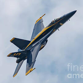 Blue Angel Up Close by Jeff Saunders