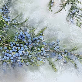 Blue Christmas by Gina Harrison