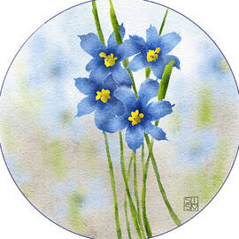 Blue Eyed Grass by Snow Iris Studio