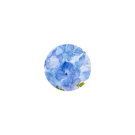 Blue Hydrangea Flower by Elizabeth Reich