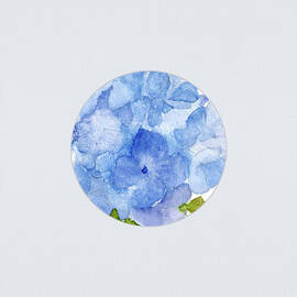 Blue Hydrangea Flower on Grey by Elizabeth Reich