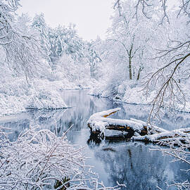 Blue n White, Winter Along The Isinglass River.  by Jeff Sinon