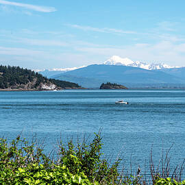 Blue Padilla Bay and White Mt Baker by Tom Cochran