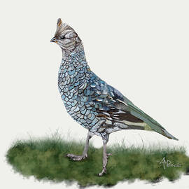 Blue Quail by Angeles M Pomata