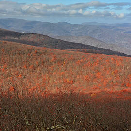 Blue Ridge Mountains Looking South at Priest Wilderness by Raymond Salani III