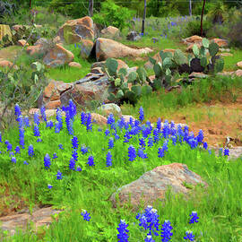 Bluebonnets Texas Style-Digital Art by Steve Templeton