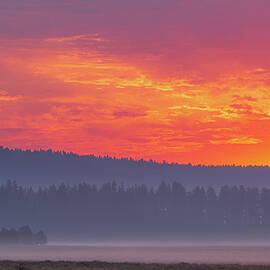 Bogard Moods by Mike Lee